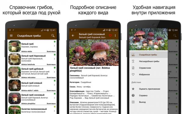 Грибы Pro v1.5.7