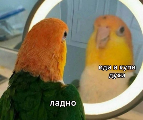 Когда с тобой шутит продавец милфа,типо с подколами: