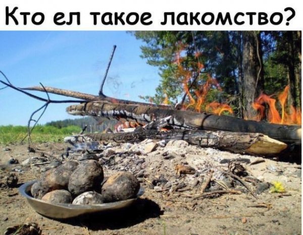 IMG-20191216-WA0097