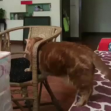 Котовский