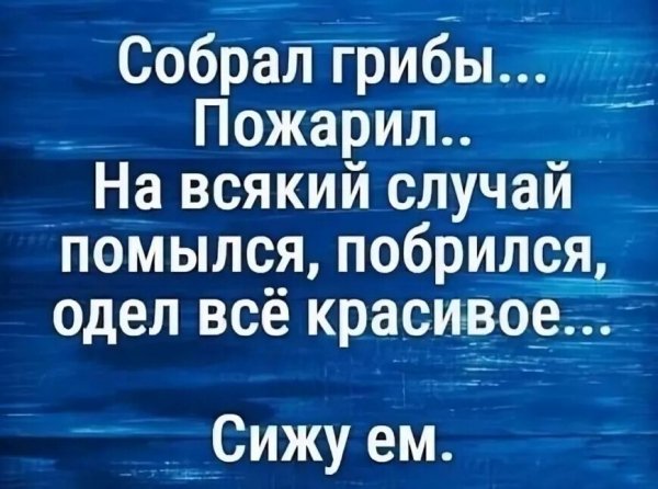 IMG 20240922 105746