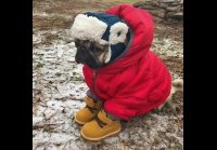 Апрель! Ты идиот