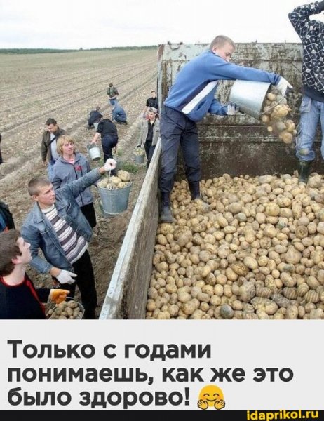 К29 1