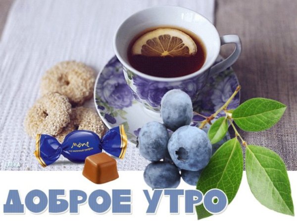 IMG-20240906-WA0000