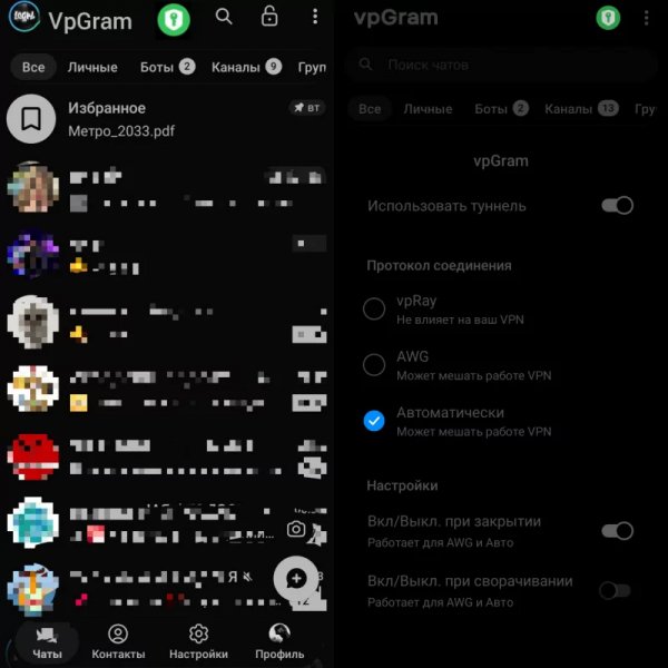 VpGram v12.6.1(65501)