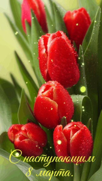file_92748648