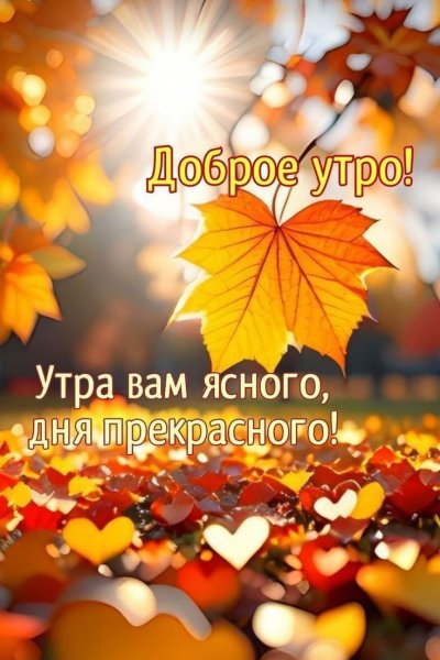 IMG-20250920-WA0004(1)