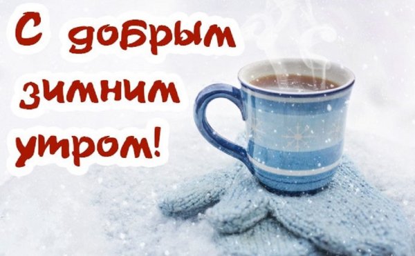 С добрым зимним утром!