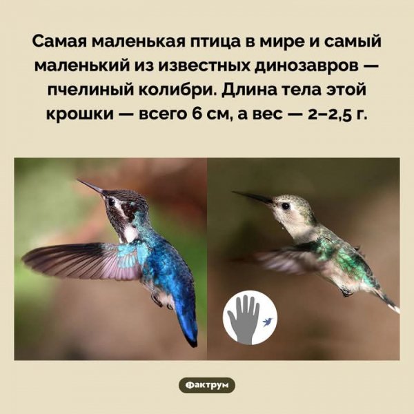 FB IMG 1753153453946