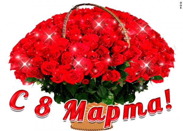 IMG 20240308 010224