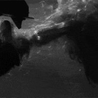 tumblr n2l7gd7S3y1snfw7co1 500