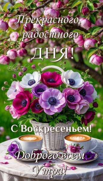 IMG 20250720 022434 579