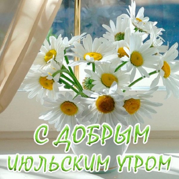 С добрым июльским утром