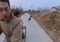 Отпугиватель собак