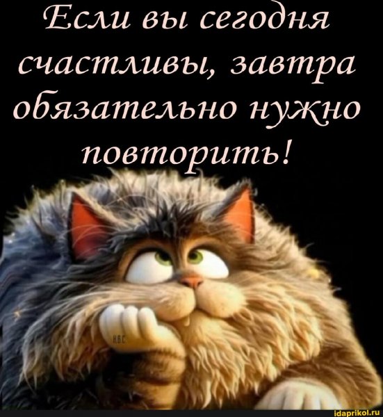 56 1