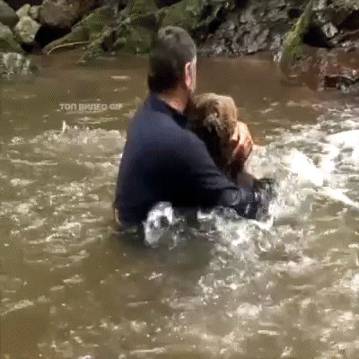 gif 1533931983