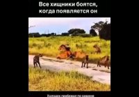 VID 20260929 140654 661