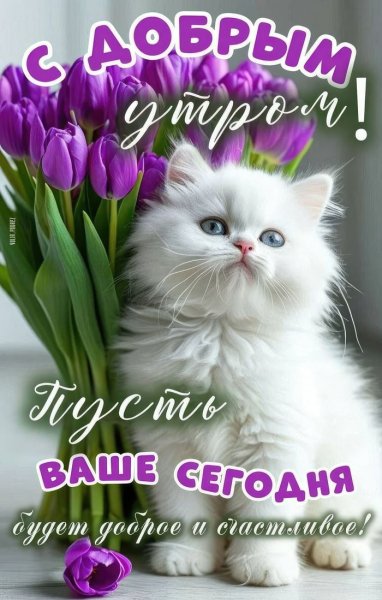 file_100699906