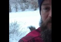 Белочка реально приходит)