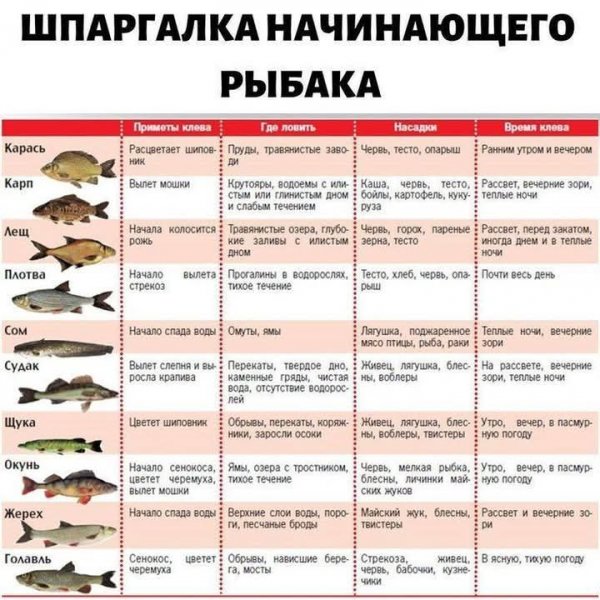 FB IMG 1748172264800