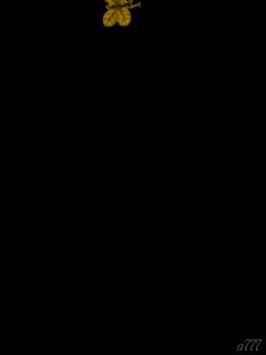 file_57174877