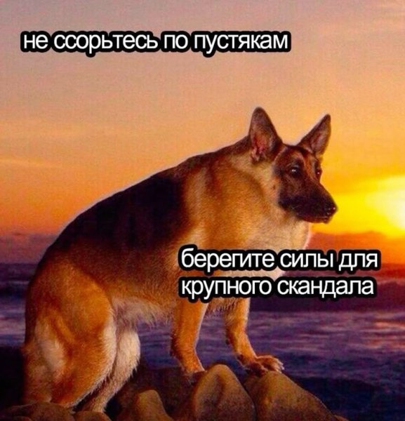 С виду я спокойный но если меня вывести из себя