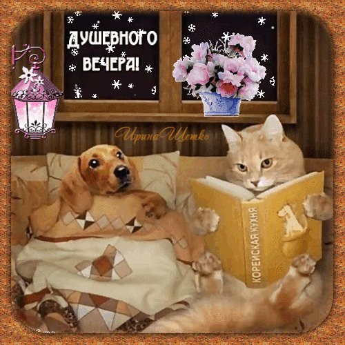 Анимированная открытка душевного вечера