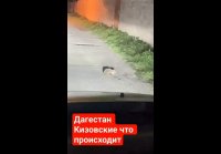 Юмор прикол топ adam s way подержите подпиской инста