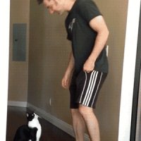прикольный котэ