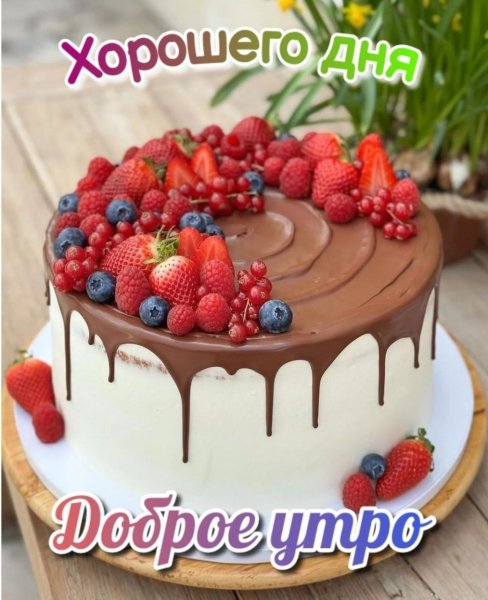 IMG-20241002-WA0022