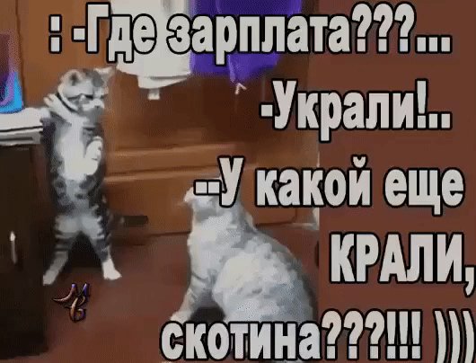 file_74219476