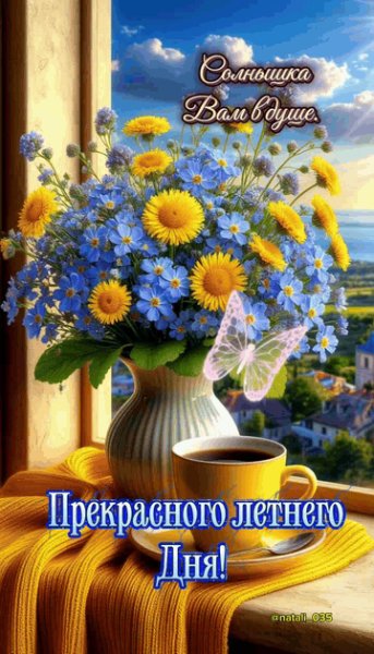 IMG 20260728 113545 669