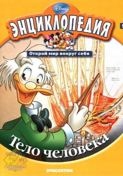 Entsiklopedia Disney - Telo cheloveka