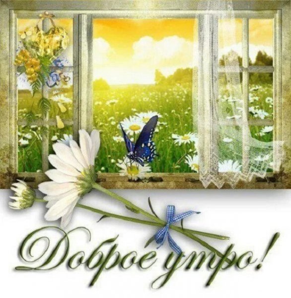 Доброе утро!
