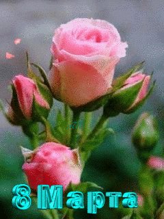 file_61534408