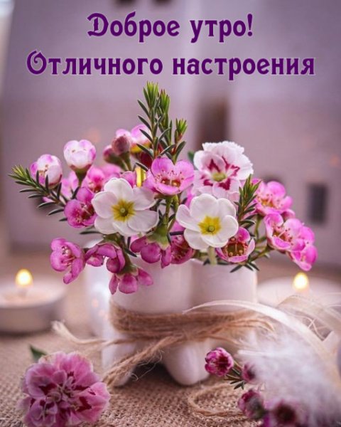 IMG-20250827-WA0004