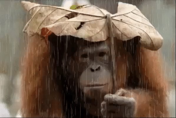 gif 1463872764