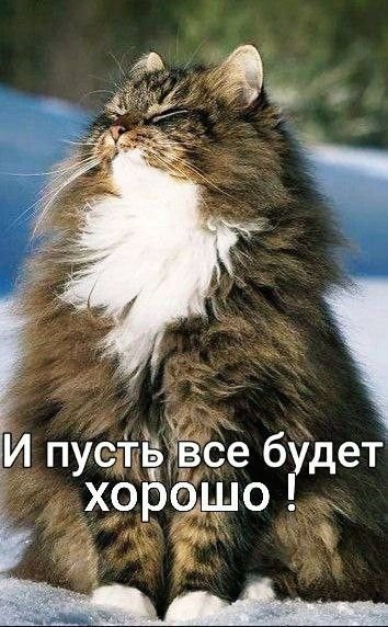 Bad57c4c