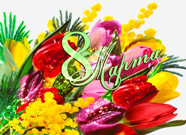 IMG 20240308 005220