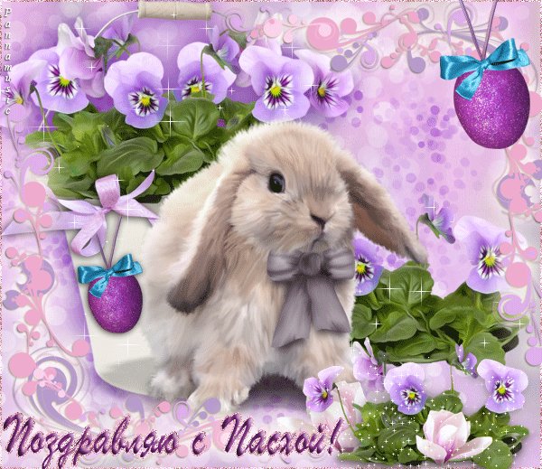 file_46755547