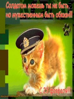 file_55365855