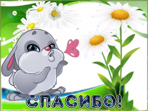 Спасибо
