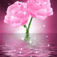 file_88769930