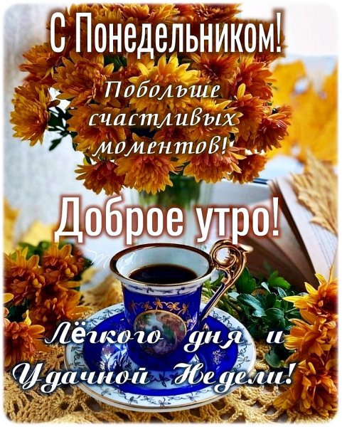 IMG-20241014-WA0006
