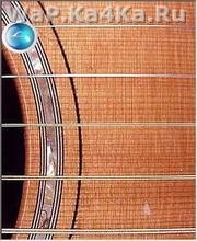 StarguitarStarguitar
