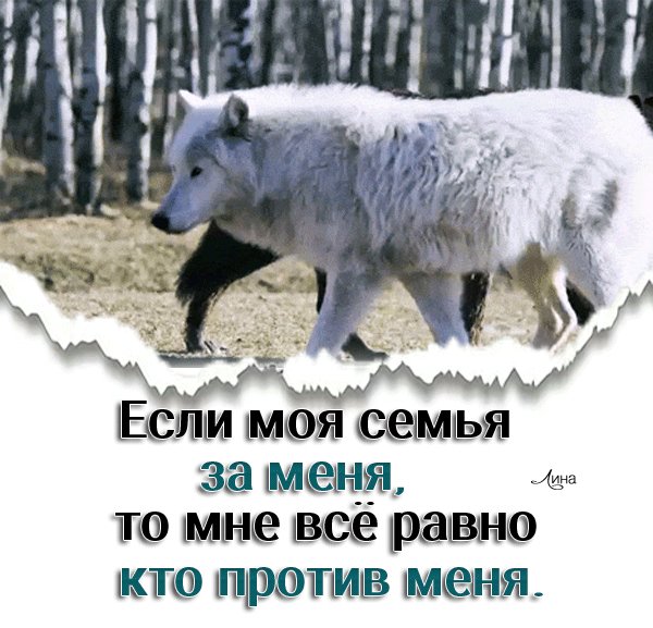 IMG 20260701 131611