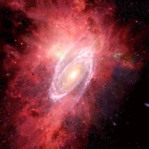 kosmos
