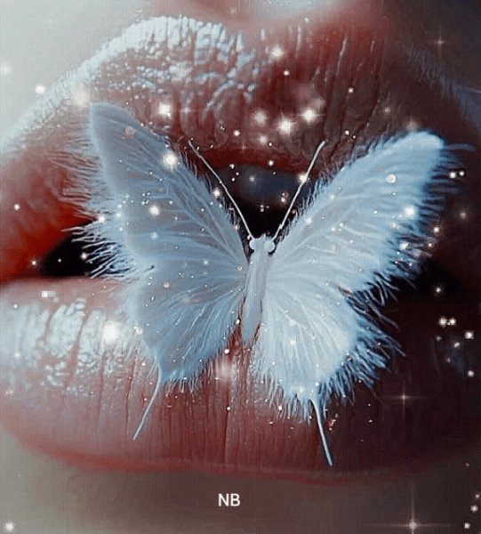 GIF 20250401 210546 941