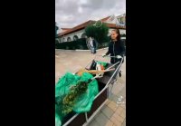 Девушка дворник, респект ей!!)