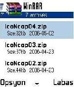 WildPalm.WinRAR.v2.6